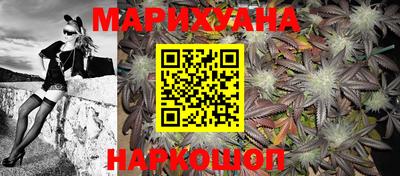 крисы Гагарин