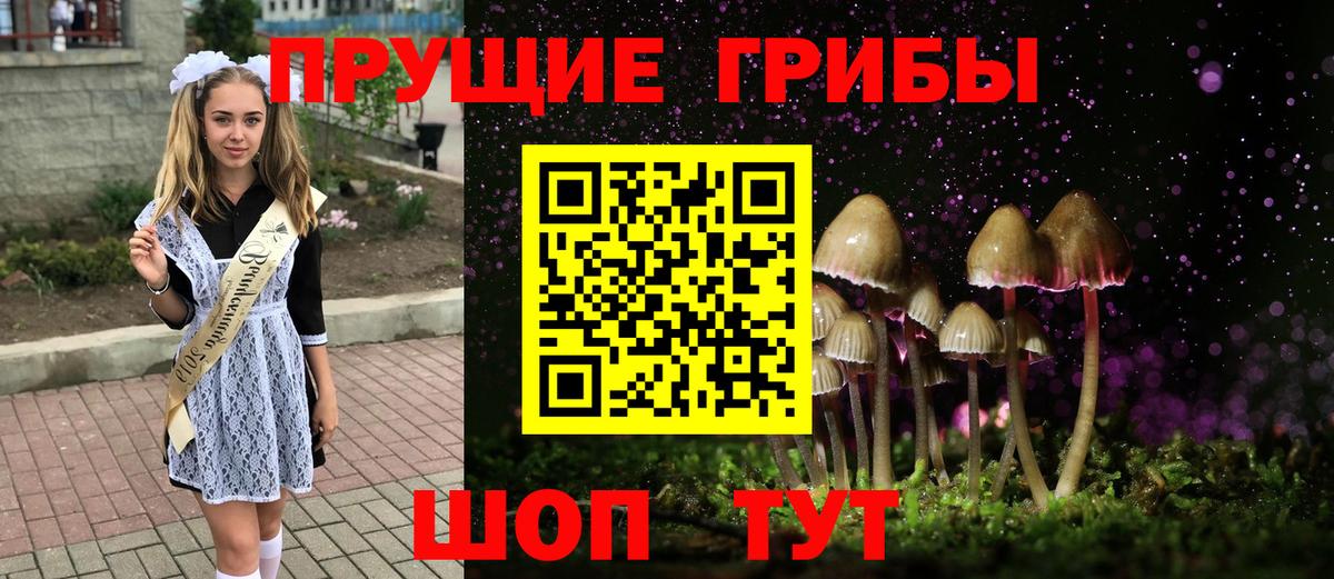 Псилоцибиновые грибы Psilocybine cubensis Новороссийск