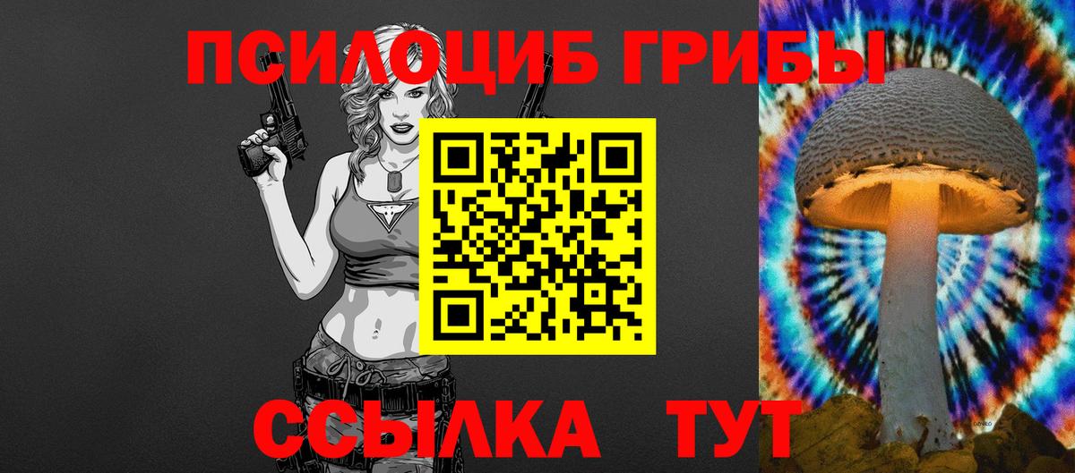 купить наркотики сайты  Вход с VPN  Новороссийск  Галлюциногенные грибы ЛСД  Галлюциногенные грибы Magic Shrooms 